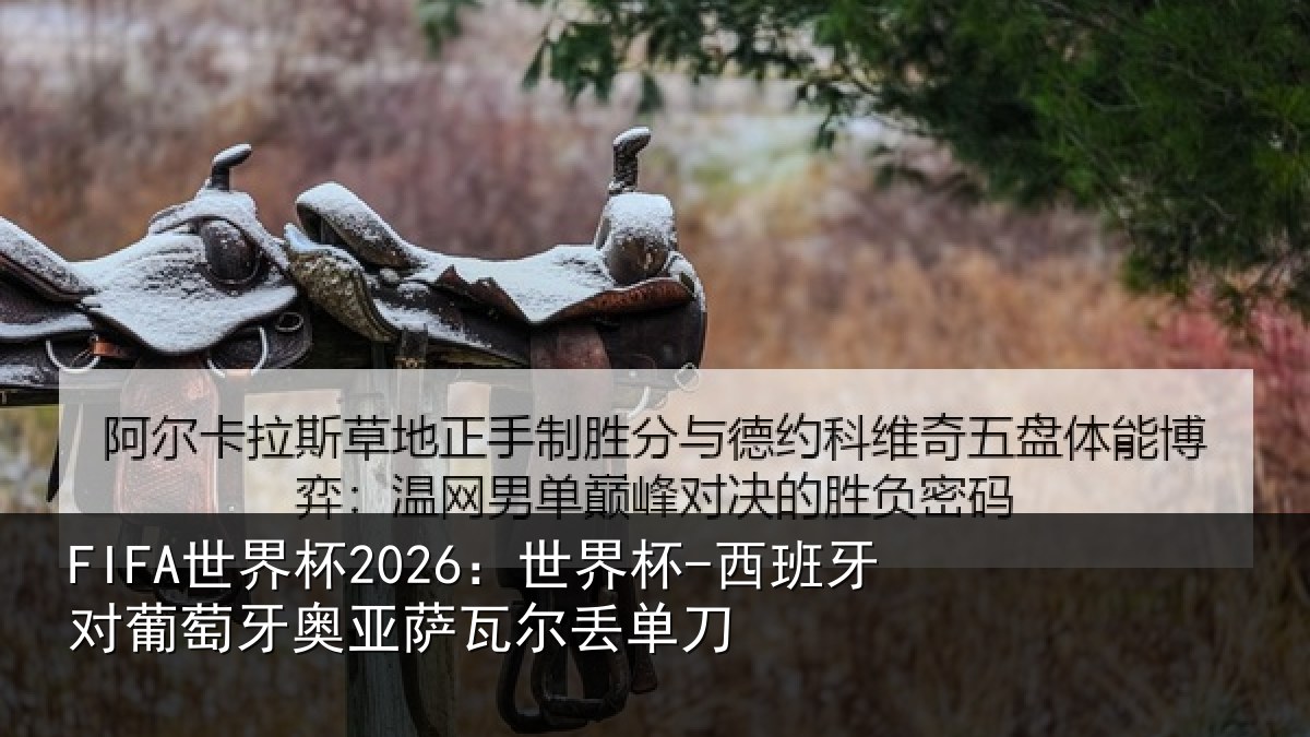 FIFA世界杯2026：世界杯-西班牙对葡萄牙奥亚萨瓦尔丢单刀