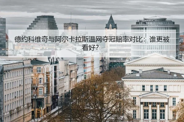 de-yue-ke-wei-qi-yu-a-er-ka-la-si-wen-wang-duo-guan-pei-lv-dui-bi-shui-geng-bei-kan-hao-2-669.jpg