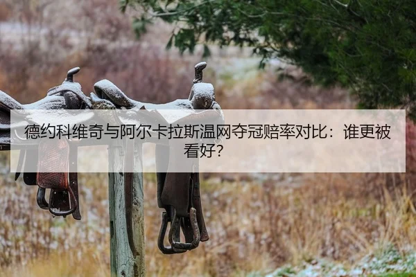德约科维奇与阿尔卡拉斯温网夺冠赔率对比：谁更被看好？