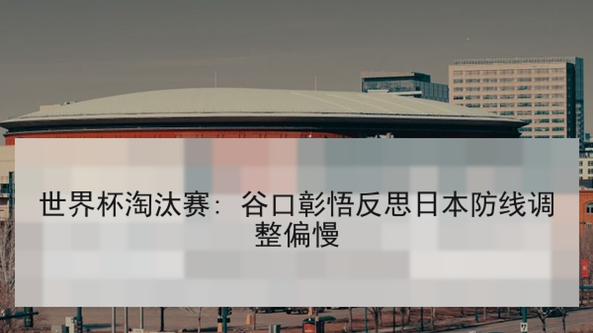 世界杯淘汰赛: 谷口彰悟反思日本防线调整偏慢