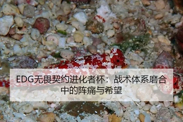 wu-wei-qi-yue-jin-hua-zhe-bei-zhan-shu-ti-xi-mo-he-zhong-de-zhen-tong-yu-xi-wang-3-613.jpg