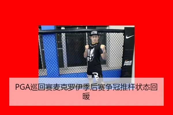 xun-hui-sai-mai-ke-luo-yi-ji-hou-sai-zheng-guan-tui-gan-zhuang-tai-hui-nuan-3-995.jpg